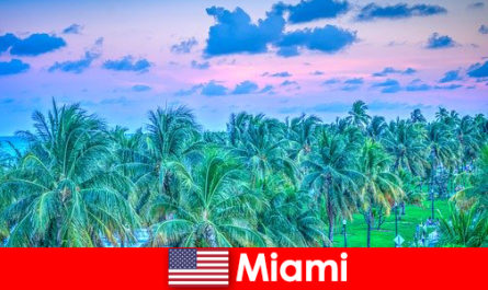 Miami zapierająca dech w piersiach przyroda z tropikalną dziką przyrodą