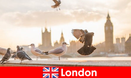 Miejsca do odwiedzenia w Londynie dla gości zagranicznych obcego pochodzenia