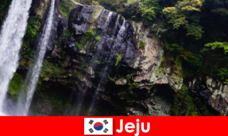 Jeju w Korei Południowej, subtropikalna wyspa wulkaniczna z zapierającymi dech w piersiach lasami dla obcokrajowców