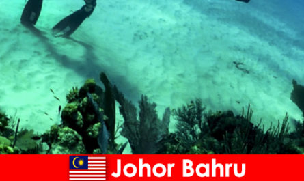 Zajęcia przygodowe w Johor Bahru Nurkowanie, wspinaczka, wędrówki i wiele więcej