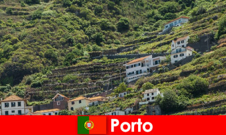 Miejsce wypoczynku w Porto dla miłośników wina z całego świata