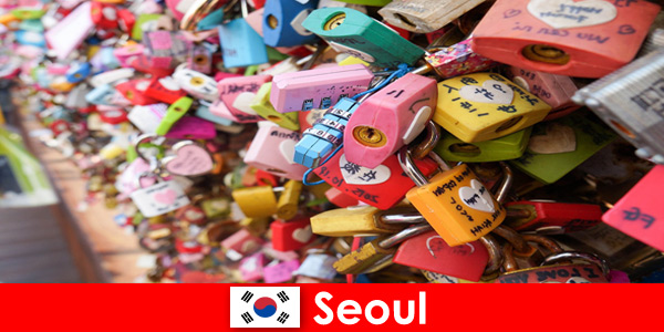 Odkrywcza podróż dla nieznajomych po modnych ulicach Seulu w Korei