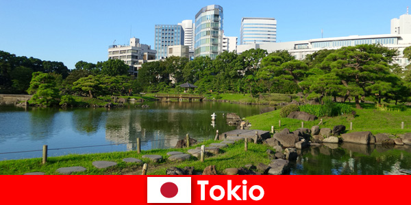 Turyści poznają z bliska stare i nowe tradycje w Tokio w Japonii
