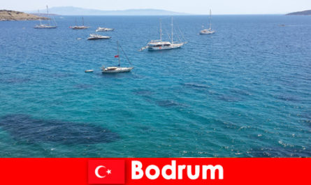 Luksusowe wakacje dla obcokrajowców w pięknych zatokach w Bodrum Turcja