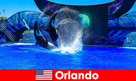 Zarezerwuj podróż indywidualną dla obcokrajowców w Orlando Stany Zjednoczone