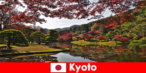 Wycieczka za granicę do Kioto w Japonii, aby zobaczyć słynną jesienną kolorystykę liści
