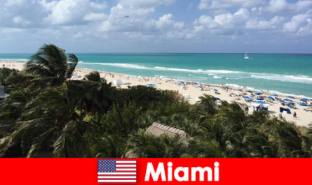 Palmy piaszczyste fale czekają na długoterminowych wczasowiczów w rajskim Miami w Stanach Zjednoczonych
