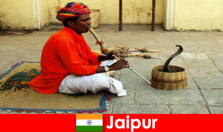 W Jaipur w Indiach wczasowicze doświadczają tańca węży i ​​rozrywki na ruchliwych ulicach