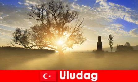 Wędrowcy cieszą się piękną przyrodą w Uludag Turcja