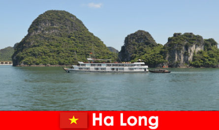 Wielodniowe rejsy dla grup wycieczkowych są bardzo popularne w Ha Long Wietnam