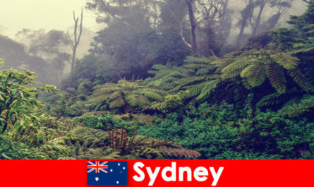 Wycieczka eksploracyjna do Sydney Australia w imponującym świecie parków narodowych