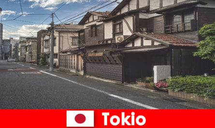Wymarzona podróż do najbardziej fascynujących dzielnic Tokio w Japonii