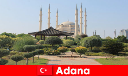 Historyczna wycieczka edukacyjna dla podróżnych z zagranicy do Adana Turcja
