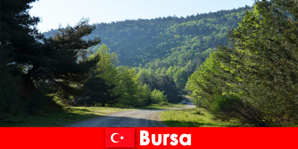Bursa Turcja oferuje zorganizowane wycieczki dla turystów pieszych w przepiękną przyrodę