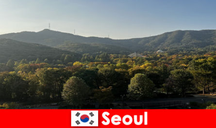Popularne pakiety wakacyjne dla grup do Seulu w Korei Południowej