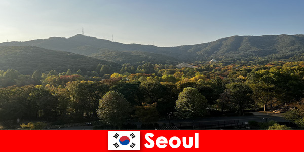 Popularne pakiety wakacyjne dla grup do Seulu w Korei Południowej
