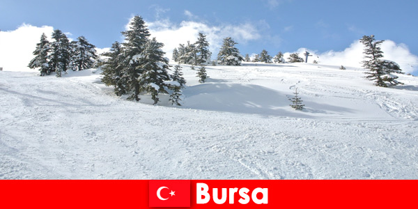 Zimowa wycieczka dla rodzin w największym ośrodku narciarskim Bursa Turcja