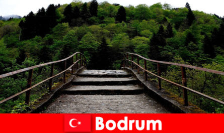 Łagodna temperatura to najlepszy czas na piesze wędrówki dla wczasowiczów w Bodrum Turcja
