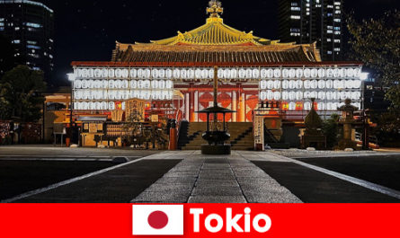 Wyjazd za granicę dla gości do Japonii Poznaj kulturę Tokio na miejscu
