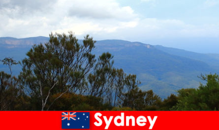 Relaksujące wakacje na kempingu dla turystów przyrody w Sydney w Australii