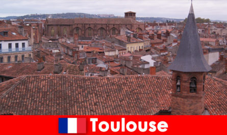 Przeżyj urocze widoki w idealnej Tuluzie we Francji
