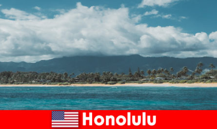 Wycieczki nurkowe dla sportowców w Honolulu Stany Zjednoczone to wyjątkowe doświadczenie