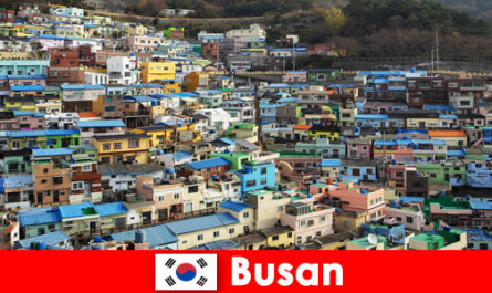 Wyjazd za granicę do Busan w Korei Południowej z kulturą kulinarną na każdym rogu za niewielkie pieniądze