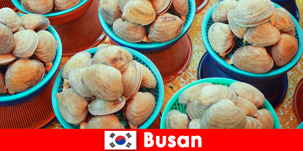 Pusan ​​Korea Południowa codziennie ma na targu świeże owoce morza