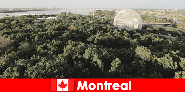 Turyści z plecakami odkrywają pieszo dziką przyrodę w Montrealu w Kanadzie