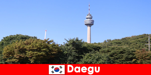 Piękne miasto w Daegu Korea Południowa kocha turystów z całego świata