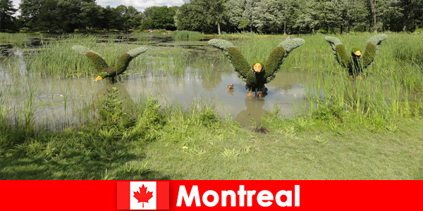 Odkryj przyrodę i rzadkie zwierzęta w Montrealu w Kanadzie