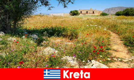Zdrowa kuchnia śródziemnomorska z doznaniami natury czeka na wczasowiczów na Kreta Grecja