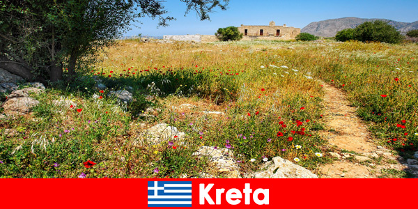 Zdrowa kuchnia śródziemnomorska z doznaniami natury czeka na wczasowiczów na Kreta Grecja