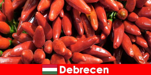 Najsłynniejsze warzywo, które można znaleźć w prawie każdym daniu w Debreczyn na Węgrzech