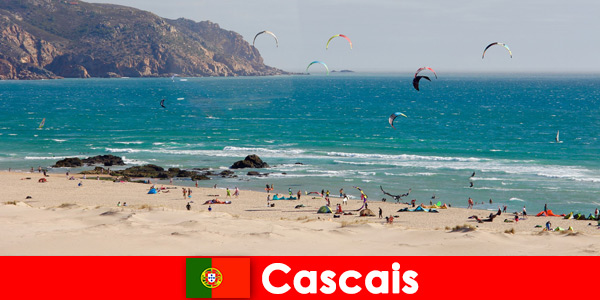 Ciesz się przysmakami z Cascais Portugalia z widokiem na morze