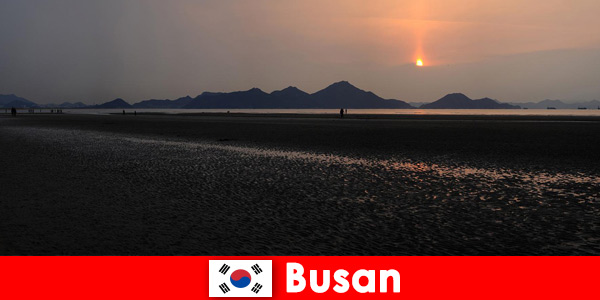 Poznaj dziewiczą przyrodę i wiele atrakcji w Busan w Korei Południowej
