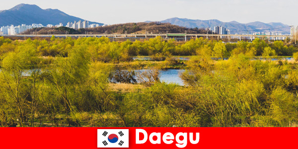 Najlepsze wskazówki dla niezależnych podróżników w Daegu w Korei Południowej
