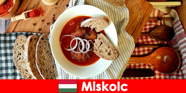 Goście w Miszkolc Węgry cieszą się lokalnymi lokalami i kulturą