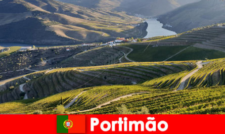 Goście uwielbiają degustacje wina i przysmaki w górach Portimão Portugal