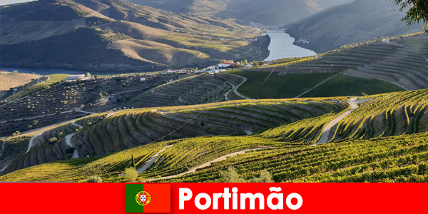 Goście uwielbiają degustacje wina i przysmaki w górach Portimão Portugal