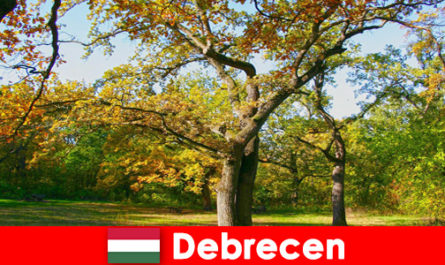 Urlop uzdrowiskowy dla emerytów w Debreczynie Węgry z dużym sercem