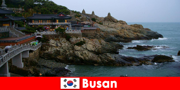 Busan Korea Południowa miasto, w którym można się zakochać