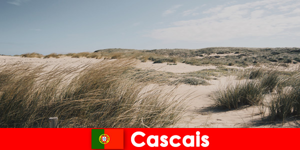 Wiatr, słońce i morze zapewniają fantastyczny spokój w Cascais w Portugalii