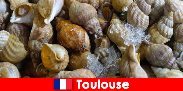Rozkoszuj się swoimi kubkami smakowymi w Tuluzie we Francji