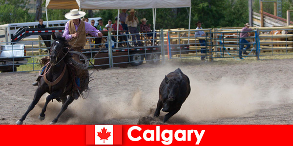 Miejscowi i goście z całego świata uwielbiają rodeo w Calgary Canada
