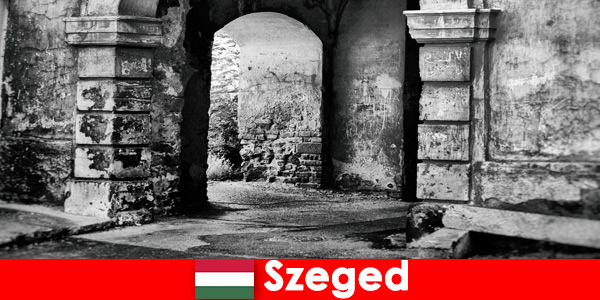 Emeryci kochają i wolą mieszkać w Szeged na Węgrzech