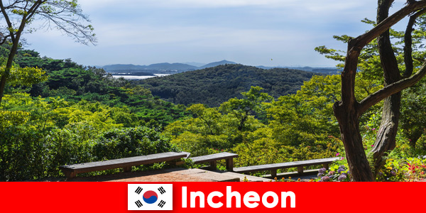 Miasto i przyroda w Korei Południowej Incheon bardzo dobrze harmonizują ze sobą