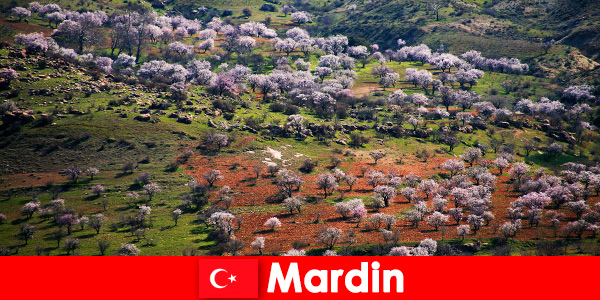 Doświadcz nietkniętej przyrody i wielu rodzimych zwierząt na zewnątrz w Mardin Turcja