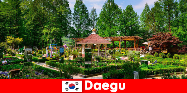 Daegu w Korei Południowej miasto z różnorodnością i wieloma zabytkami