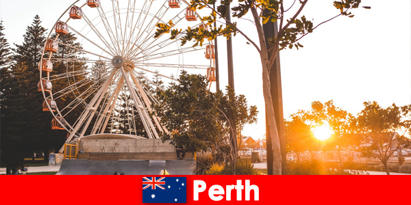 Przyjemna wycieczka do Perth Australia z zabawnymi grami i mnóstwem pokazów